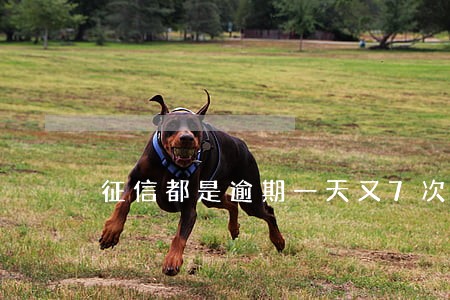 征信都是逾期一天又7次能消除吗 征信都是逾期一天又7次能消除吗