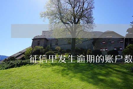 征信里发生逾期的账户数9