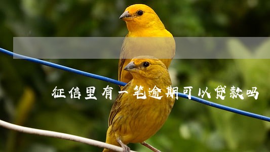 征信里有一笔逾期可以贷款吗