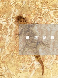 征信里有逾期为什么金额为0 征信里有逾期为什么金额为0