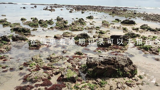 征信里有逾期记录可以去银行吗 征信里有逾期记录可以去银行吗