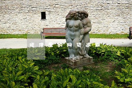 征信里的网贷逾期 征信里的网贷逾期