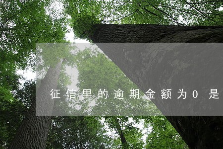 征信里的逾期金额为0是什么 征信里的逾期金额为0是什么