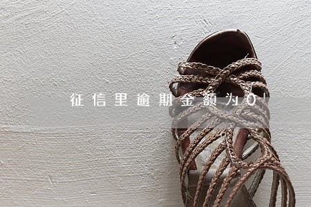 征信里逾期金额为0 征信里逾期金额为0