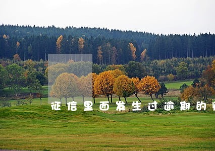 征信里面发生过逾期的账户1 征信里面发生过逾期的账户1
