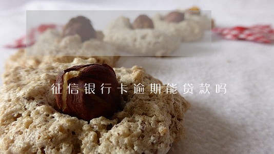 征信银行卡逾期能贷款吗 征信银行卡逾期能贷款吗