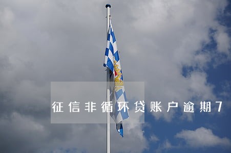 征信非循环贷账户逾期7次 征信非循环贷账户逾期7次