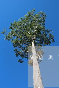 征信黑了又逾期在吗可以贷款 征信黑了又逾期在吗可以贷款
