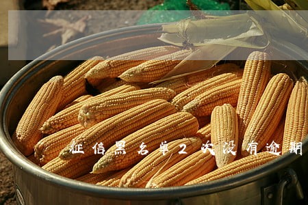 征信黑名单2次没有逾期 征信黑名单2次没有逾期