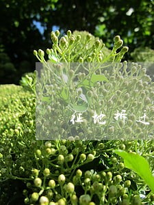 征地拆迁律师价格价位 征地拆迁律师价格价位