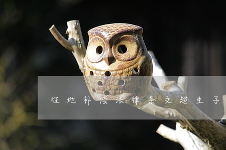 征地补偿法律条文超生子女