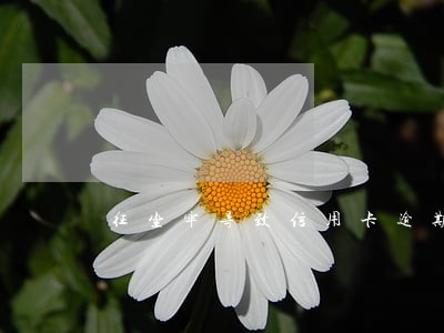 征坐牢导致信用卡逾期