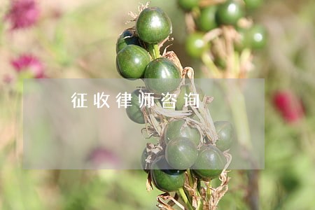征收律师咨询 征收律师咨询
