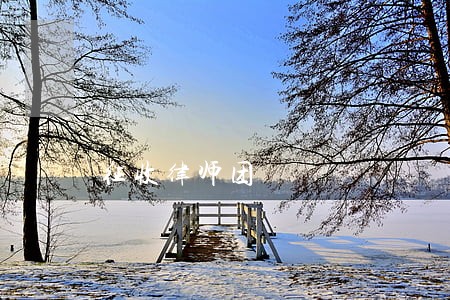 征收律师团 征收律师团