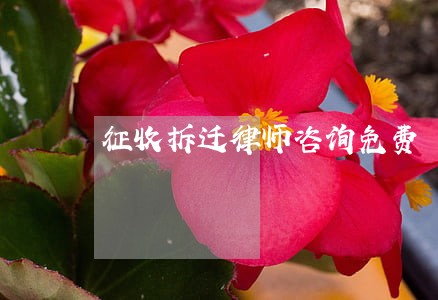 征收拆迁律师咨询免费 征收拆迁律师咨询免费