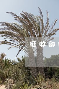 征收部门常见的几种违法情形 征收部门常见的几种违法情形