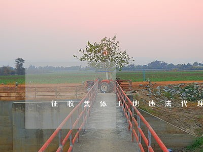 征收集体土地违法代理词 征收集体土地违法代理词