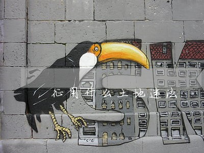 征用什么土地违法 征用什么土地违法