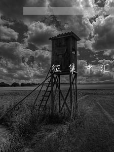 征集中汇在线投资者集团诉讼公告 征集中汇在线投资者集团诉讼公告