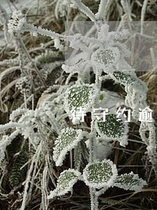 待守约逾期23天怎么付款 待守约逾期23天怎么付款