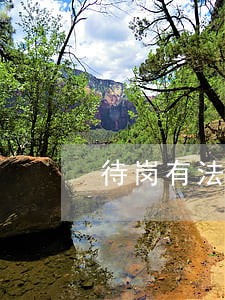 待岗有法律条文吗