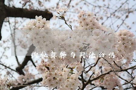 徇私舞弊与司法公信