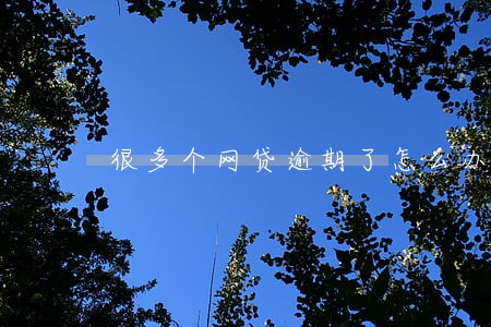 很多个网贷逾期了怎么办