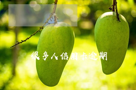 很多人信用卡逾期