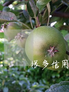 很多信用卡和网贷逾期了怎么办 很多信用卡和网贷逾期了怎么办