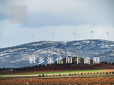 很多张信用卡逾期 很多张信用卡逾期