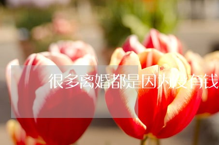 很多离婚都是因为没有钱 很多离婚都是因为没有钱