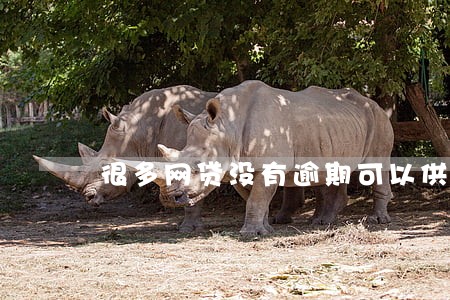 很多网贷没有逾期可以供房子吗 很多网贷没有逾期可以供房子吗