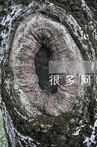 很多网贷逾期一年了会坐牢吗 很多网贷逾期一年了会坐牢吗