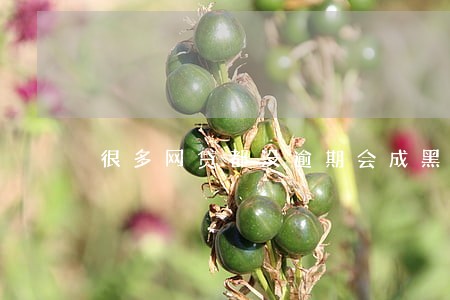 很多网贷都没逾期会成黑户吗 很多网贷都没逾期会成黑户吗