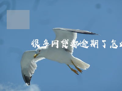 很多网贷都逾期了怎么办 很多网贷都逾期了怎么办