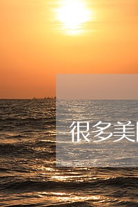 很多美国人的信用卡都面临逾期 很多美国人的信用卡都面临逾期