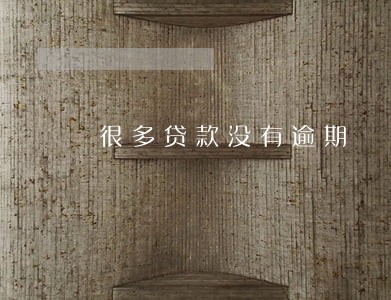 很多贷款没有逾期 很多贷款没有逾期