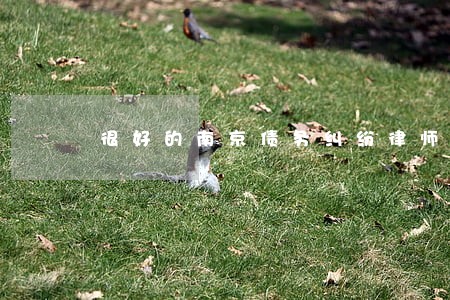 很好的南京债务纠纷律师 很好的南京债务纠纷律师