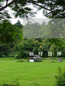 很好贷押证不押车贷款逾期