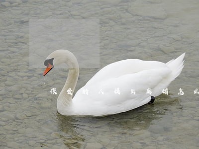 很爱的人提出离婚怎么办 很爱的人提出离婚怎么办