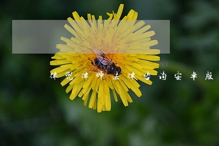 律兜律师法律咨询安卓版