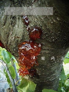 律回网与帝博律师 律回网与帝博律师