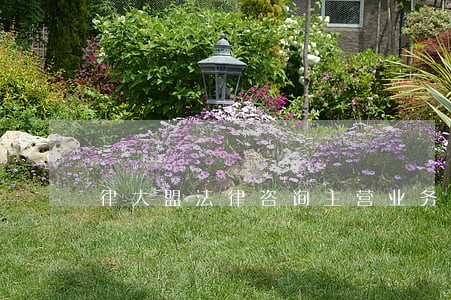 律大盟法律咨询主营业务 律大盟法律咨询主营业务
