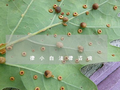 律小白法律咨询 律小白法律咨询