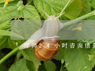 律师24小时咨询债务 律师24小时咨询债务