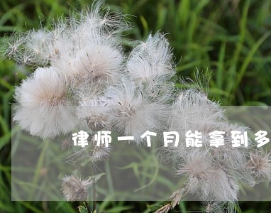 律师一个月能拿到多少钱 律师一个月能拿到多少钱