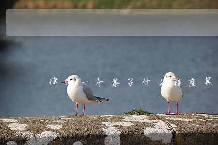 律师一个案子什么程度算完成 律师一个案子什么程度算完成