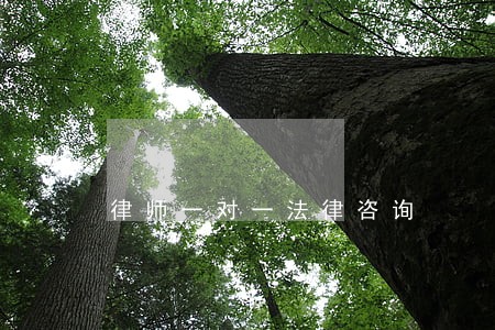 律师一对一法律咨询 律师一对一法律咨询