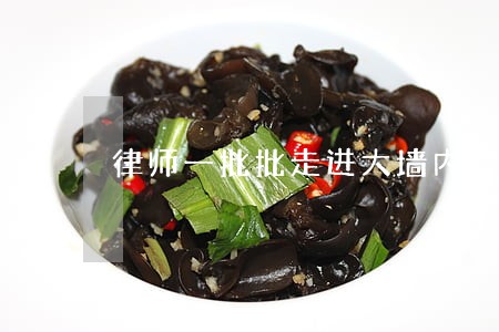 律师一批批走进大墙内 律师一批批走进大墙内
