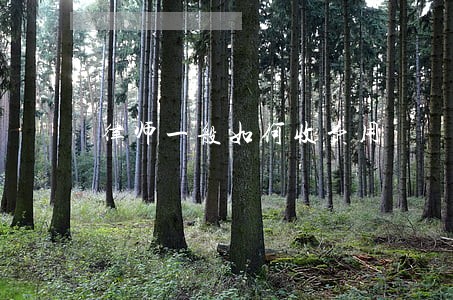 律师一般如何收费用 律师一般如何收费用